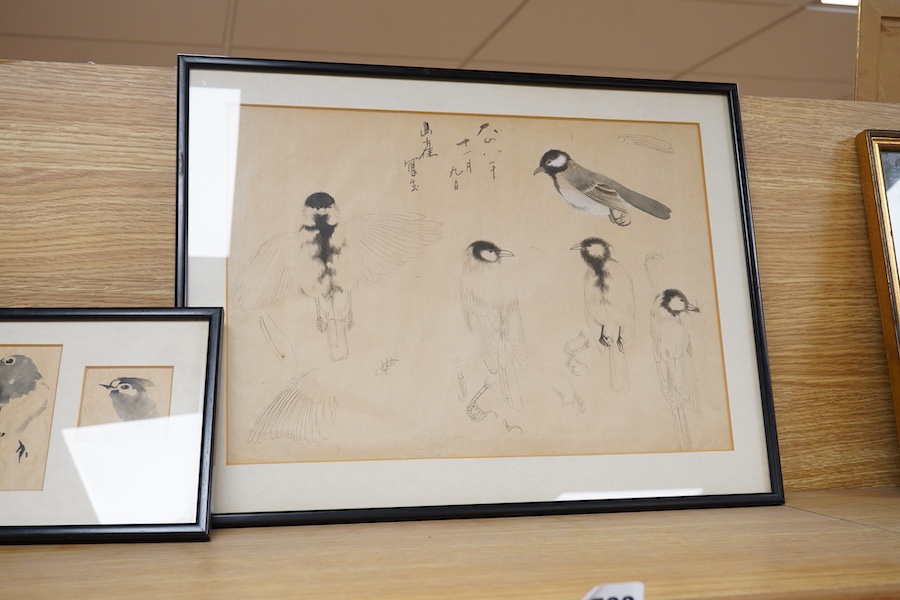 Chinese school, five studies of insects and birds, four mounted and framed as one, monochrome ink and wash, largest 27 x 37cm